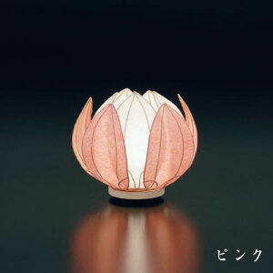 ~ ͂Ȃ sN O[ zCg ، nX @ 傤 ~U fUC a_