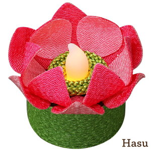 Ɩ ߂Lh  ͂ Ђ܂ ݂  Sakura Hasu Himawari Momiji Suisen