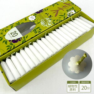 [\N yJ}[\N20 ؁z _p[\N  20 Ԍ` 킢 i 䋟 Q ފ ~ A Fc  p ~ V~ ~ r䌩 r