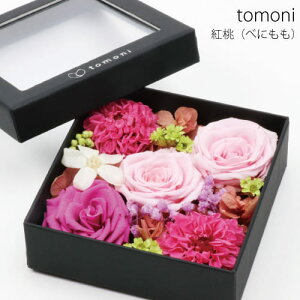 �ykasane �����˗p�v���U�[�u�h�t�����[�z �v���U �s���N �u���[ �O���[�� [�ؒJ���d�I���W�i���u�����h tomoni] ���� �R���p�N�g �M�t�g BOX �v���[���g