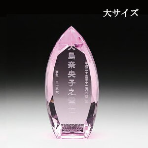 KHV[Y NX^ʔv KH-9/10 _ NX^KX ThuXg 薳