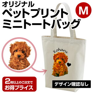  UobO ybg ʐ^ vg obO  v[g Mtg  obO ObY IWi ~jg[gobO ` ~jg[g ybgvg IWivg L 蕨