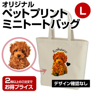  UobO ybg ʐ^ vg obO  v[g Mtg  obO ObY IWi ~jg[gobO ` ~jg[g ybgvg IWivg L 蕨