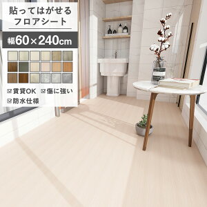 tAV[g tA^C 2.4m Lb`V[g ^C V[ ̂t NbVtA WCg}bg O}bg t[O tA}bg k   u z ͂