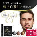 【7/19～7/26楽天マラソン10％OFFクーポン】白髪隠し カラーリングブラシ 白髪染め スティック 無添加 部分染め 部分 白髪 白髪かくし 生え際 女性用 | 男性用 生え際用 ポイント用 白髪用 白髪カバー ヘア カラー ピンポイント 綺和美 メンズ 部分白髪 ヘアマニキュア