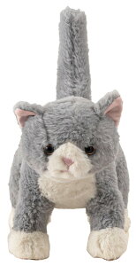 Aj} ʂ ʂ ʂ Lʂ ֐߂    ybgX  CeAG  L  ˂ Ck lR 킢 v[g  