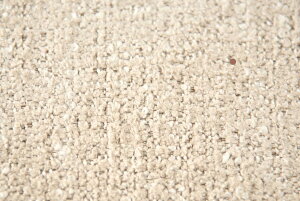 fXN`FA `FA ItBX`FA p\R`FA PC`FA CX ֎q \ LX^[t ~@\t  ]`FA [N`FA ݑΖ e[N [g[N