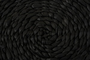 oXPbg L   [  AWA k ؍ ҂ݍ [ ꕨ Vv ֗ {bNX y  ~` nhCh El ̍  k i`