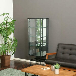 レグラス コレクションケース スタンド 4段 ミラータイプ BK コレクションシェルフ ガラス 収納棚 コレクション棚 コレクター ディスプレイ 小物置き ラック 北欧 強化ガラス 組立式 インテ