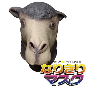 oGeB{ ApJ } A ApĴ Aj} }XN    ϑ }XN  蕨 r Ђ o n nEB o[}XN p_  F CI T ϑO