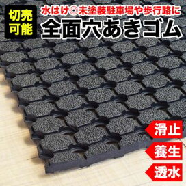 楽天市場】全面穴あきゴムシート 厚さ10ミリ×幅0.45M×長さ2.5M 黒 芝生 