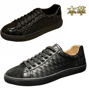 Xj[J[ Y {v Cg`[g ҂ݍ [XAbv ₷ U[ v  l  ubN V[Nbg g4cmUP 