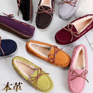 JV fB[X hCrOV[Y XG[h {v ؂ y^R Xb| { N t@[  H~