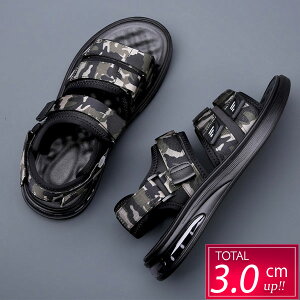 T_ Y GA[NbV Jt[W ʕ ubN Vv l 3cmUP 