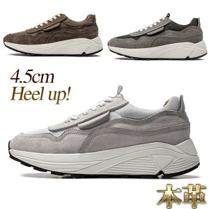 Xj[J[ Y XG[h {v bV [XAbv O[ O[ J[L lC V[NbgV[Y 4.5cm gUP