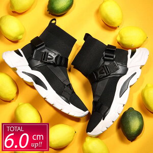 Xj[J[ Y \bNXXj[J[ Vv l ubN I[ubN ubNzCg xgt 6.0cmUP 