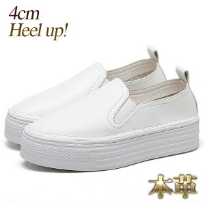 Xb| fB[X Y ZC 22.5cm JWA LoX Xj[J[ ₷  q[Abv V[Nbgy4cm gUPzyz