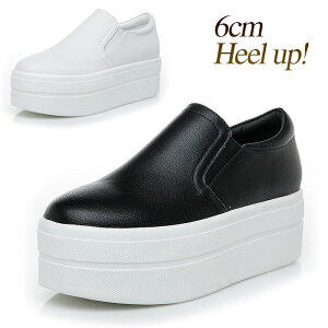 Xb| fB[X Xb| U[Xb| {v Ey ɂ ʋC g6cmUP 