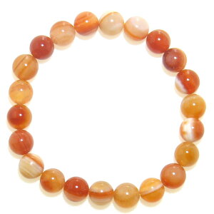 V T[hIjLX 8mm uXbgy8 a΁zy15cm 16.5cm 18cm 20cmzACAQ[g   VR pfB[X ANZT[