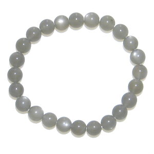 AA V[ [Xg[ 8mm uXbgy6 a΁zy15cm 16.5cm 18cm 20cmz K Ă VR  ANZT[ WG[ Y fB[X