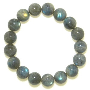 yzA+ uhCg 12mm p[uXbgy16.5cm 18cm 20cmz   VR  ANZT[ WG[ Y fB[X