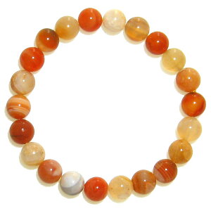 {ciAQ[g 8mm IWn uXbgy15cm 16.5cm 18cm 20cmzS̃oX   N Y Mtg  O VR p[Xg[ fB[X Y WG[ ANZT[