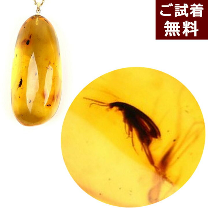 楽天市場】＼最大30％OFFクーポン／化石 虫入り琥珀 ペンダントトップ  