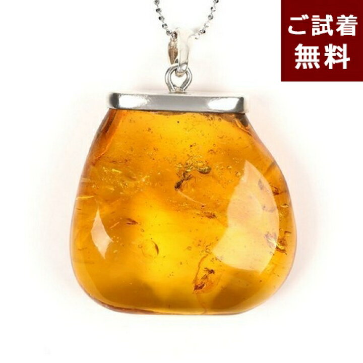 楽天市場】化石 虫入り琥珀 ペンダントトップ ネックレス 大蟻 
