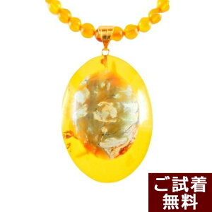 _10/30ISi5{ő25N[|^^[RCY gR  lbNX y_ggbv CG[Ao[ 41cm ȉ~ I[o K18l̗ ogY ߉  nhCh 