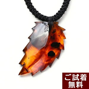 _P5{ő25OFFN[|^ lbNX y_ggbv `F[bhAo[  gR 70cm ؂̗t A H ߉\ ogY  ߉ nhCh  p[X