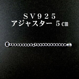 AWX^[ 5cm SV925 Vo[  `F[lbNX [֑ ߉ VR