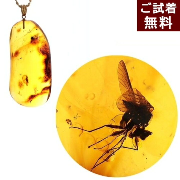 楽天市場】化石 虫入り琥珀 ペンダントトップ ネックレス ハチ 蜂 