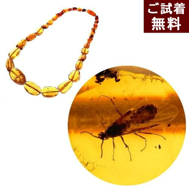 楽天市場】＼最大30％OFFクーポン／化石 虫入り琥珀 ネックレス 羽蟻  
