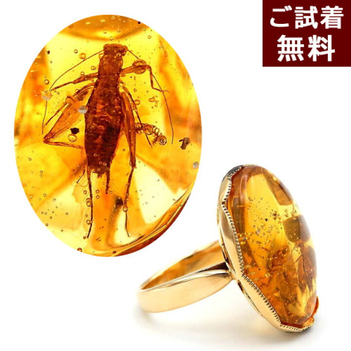 楽天市場】＼最大30％OFFクーポン／琥珀 リング 指輪 コオロギ 