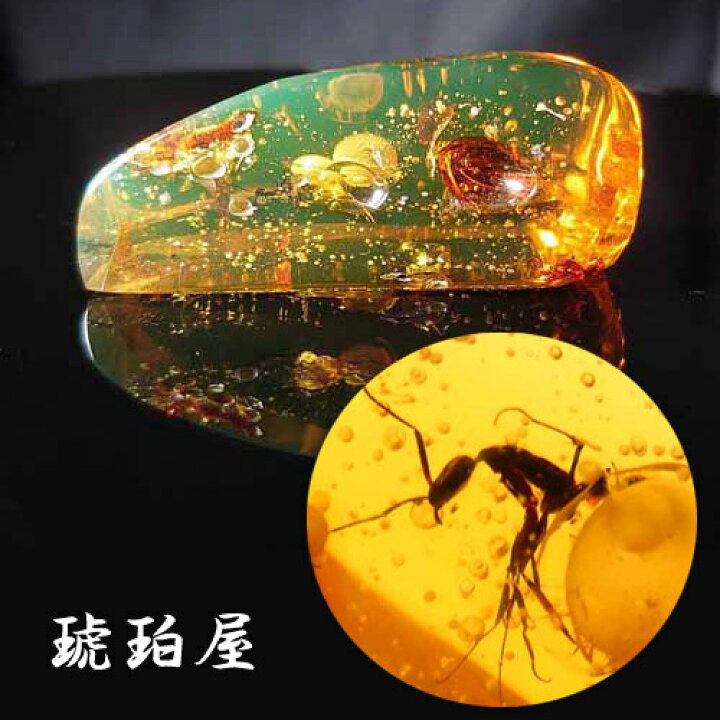 楽天市場】【動画あり】化石 虫入り琥珀原石 ルース 大蟻らしき虫 蜘蛛 