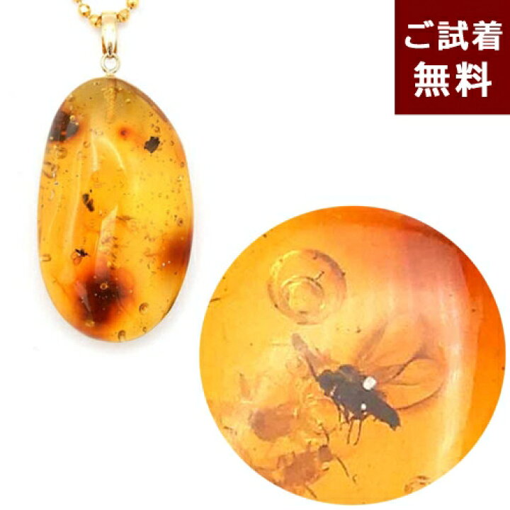 楽天市場】＼最大30％OFFクーポン／化石 虫入り琥珀 ネックレス 