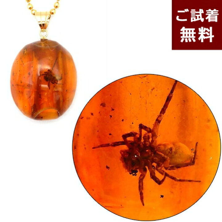 楽天市場】化石 虫入り琥珀 ネックレス ペンダントトップ 蜘蛛 