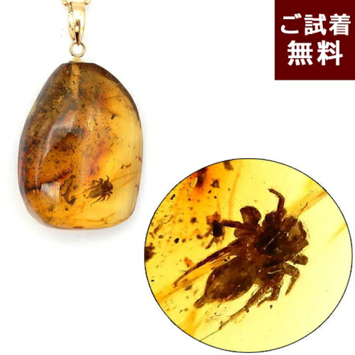 楽天市場】化石 虫入り琥珀 ネックレス ペンダントトップ 蜘蛛 気泡  
