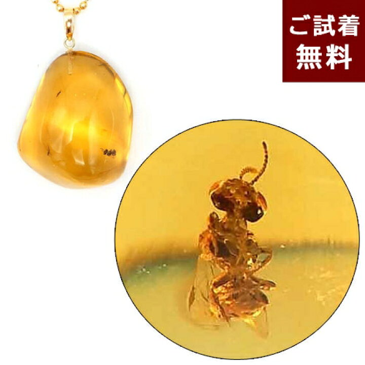 楽天市場】化石 虫入り琥珀 ネックレス ペンダントトップ 蠅  