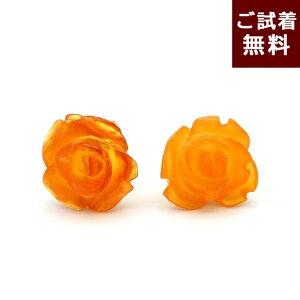  CO  sAX X^bh KN CAo[  o^[XRb` AeB[NF ogY o [Y  t[  a1cm U  GKg _ 