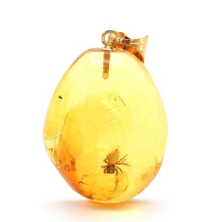 楽天市場】虫入り琥珀 ネックレス ペンダントトップ 蜘蛛 イエロー  