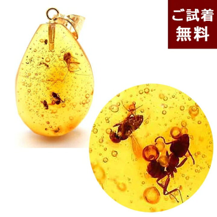 楽天市場】化石 虫入り琥珀 ネックレス ペンダントトップ 蟻 蠅  
