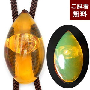 y悠z [v^C `[J[ jp Y u[Ao[fi C{[ F  LVRY ^ eBAhbv _ ߉ No 3434 VR p[Xg[ Mtg