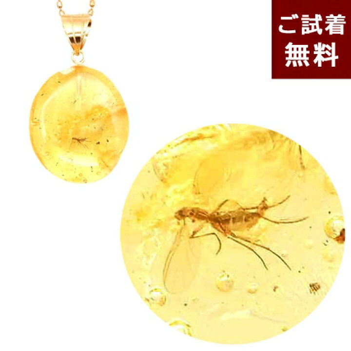 楽天市場】化石 虫入り琥珀 ネックレス ペンダントトップ 蚊 カ 気泡 