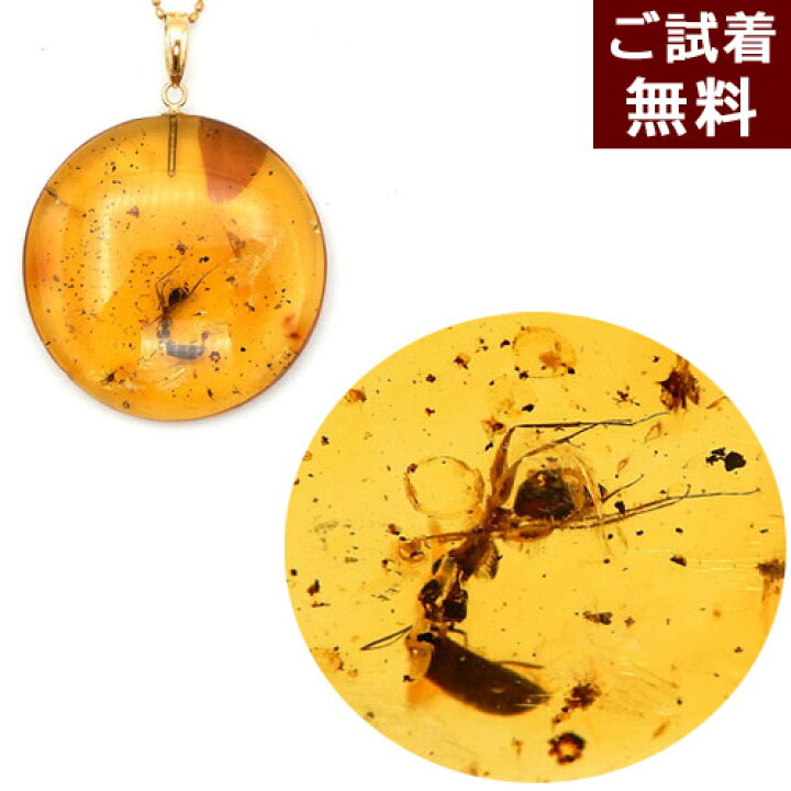 楽天市場】化石 虫入り琥珀 琥珀 ネックレス ペンダントトップ 蟻 アリ 