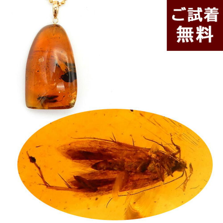 楽天市場】琥珀 ネックレス ペンダントトップ ウスバカゲロウ イエロー 