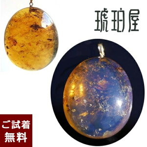 _P5{ő25OFFN[|^y悠z h~jJ u[Ao[   y_ggbv lbNX ^ eBAhbv K18 `F[ʔ  ߉ nhCh 