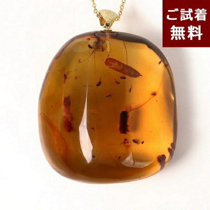 楽天市場】化石 虫入り琥珀 ペンダントトップ ネックレス コーパル 