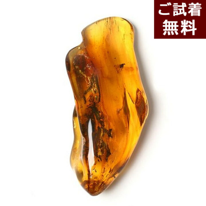 虫入り琥珀 値段 この小さな琥珀に とてつもないロマンが詰まってい 