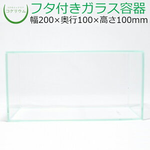 yeE KXe RPE  RP ۃeE ۃE ANAE ANAeE  ϗtA | nChJ`[ K[fjO O[ CeA  ۖ~ 